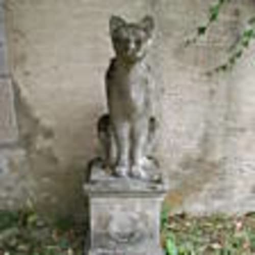 auroreinfrance