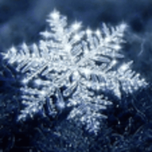 snowflakes827