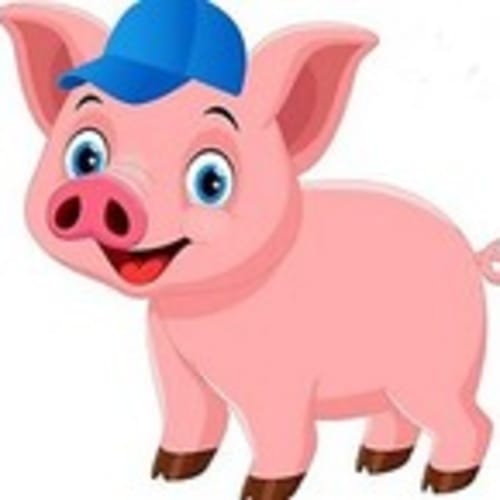 piggypowerllc