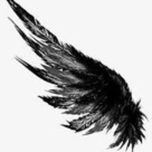 black_wing_sundries