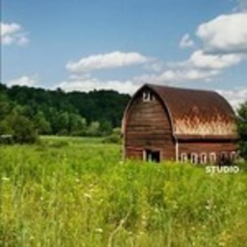 treasurebarngirl