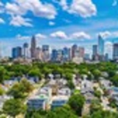 the_clt_connection