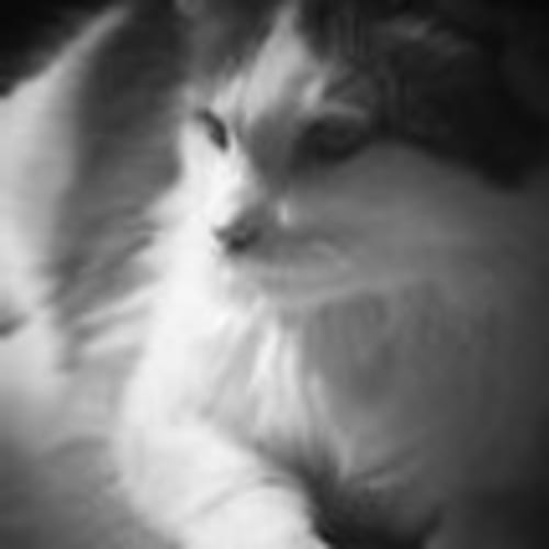 willoughbynilla