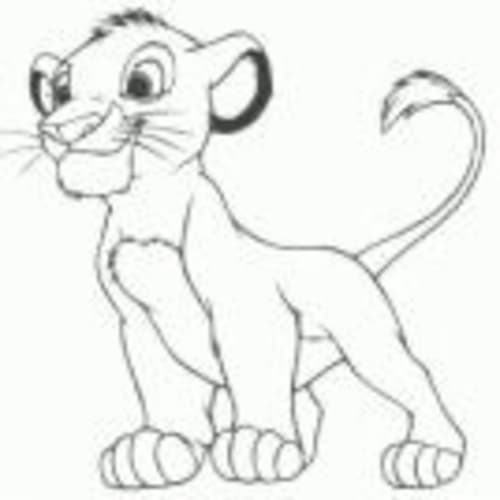 simba6