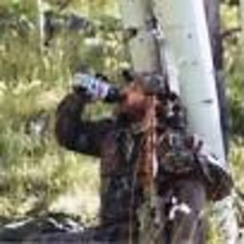 woodsman724