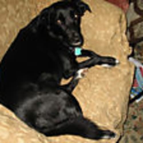 nanasthings104