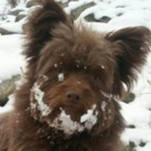 gizmo*s_collectables1