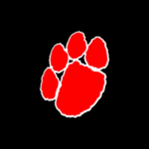 bobcatcityretro