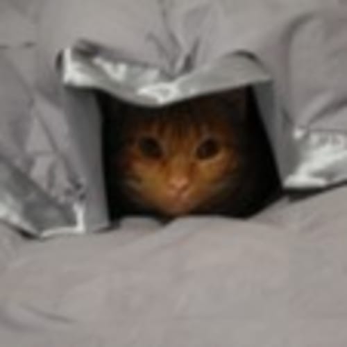 lovefurbabies