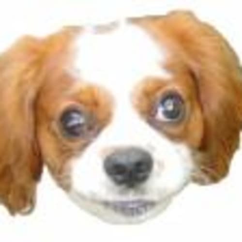 benjet