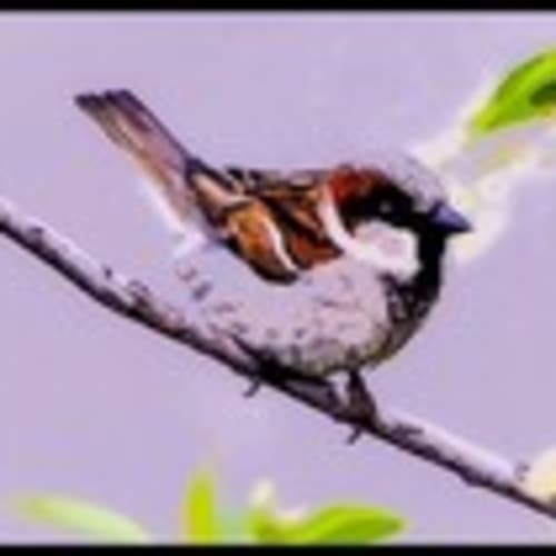 onelittlesparrow