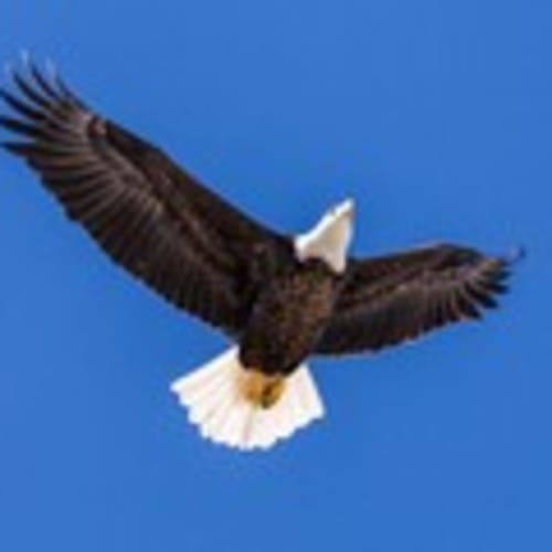 dougsbooks2
