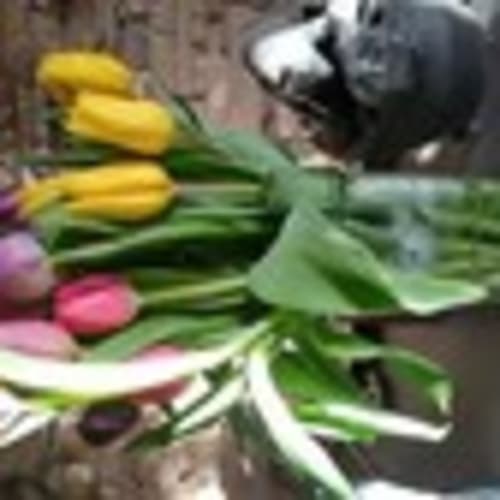 ticl_3947