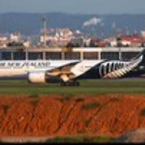 flightlesskiwi