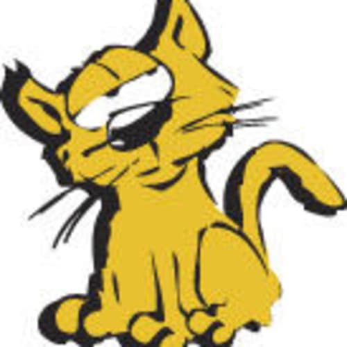 whiskersv