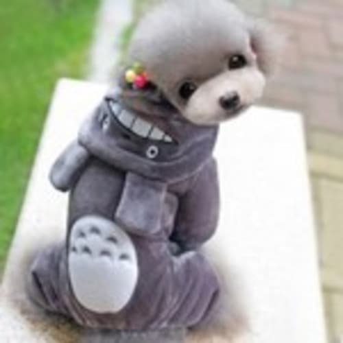 aldre-rene