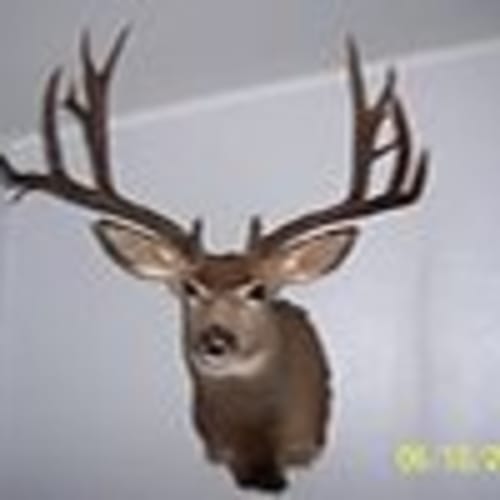 30incher
