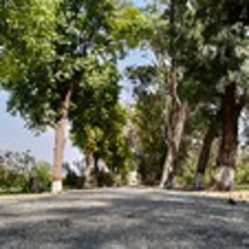 buraaqs_hub