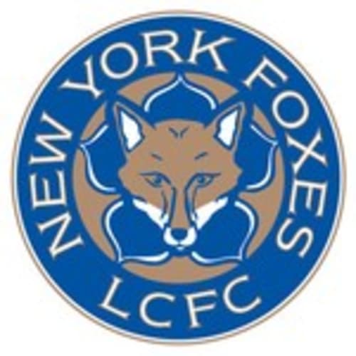 newyorkfoxes