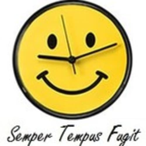 semperstraps
