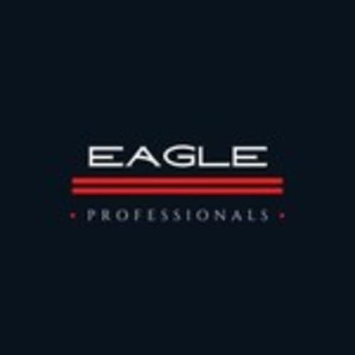professional_eagle_parts