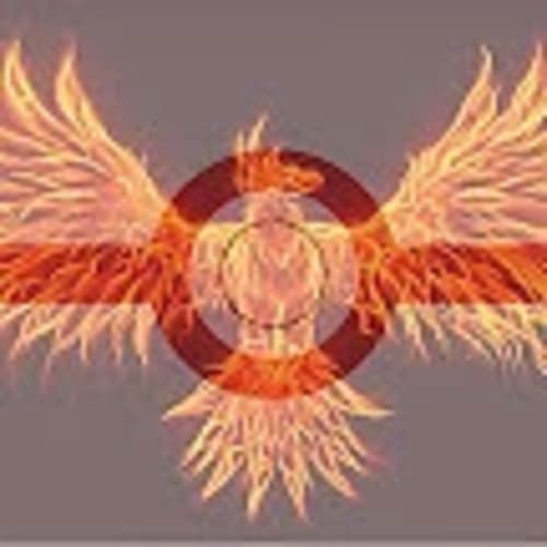 trainer-phoenix