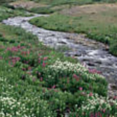 rbda51