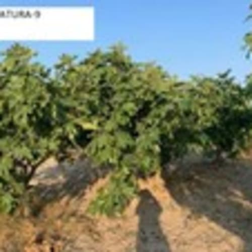 fmnatura-9