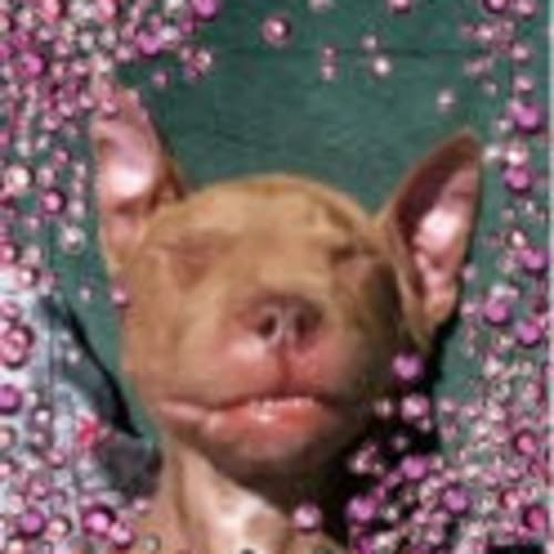 prettyandpinkstuff