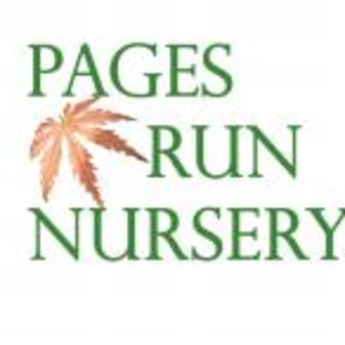 pagesrunnursery