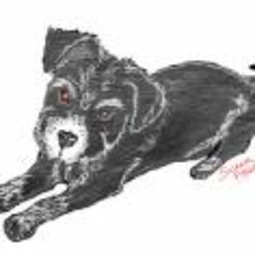 pooch02