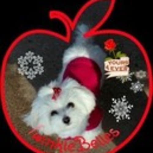 4-peepsandpaws