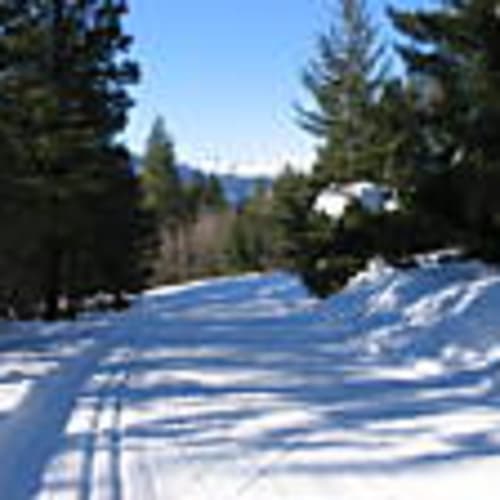 snowqueen98