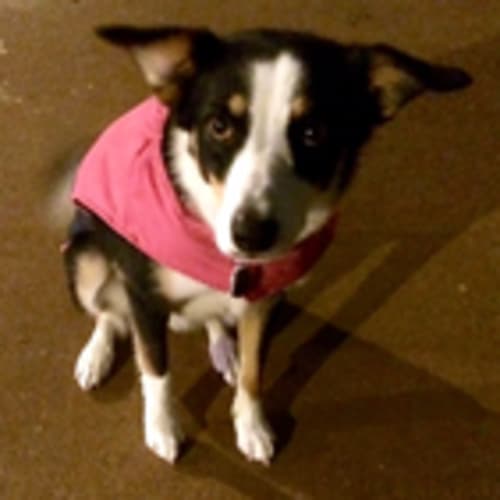 maggiemae12
