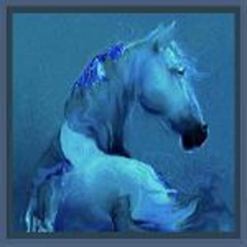 boyblue65