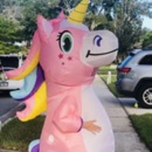 theunicornflipper