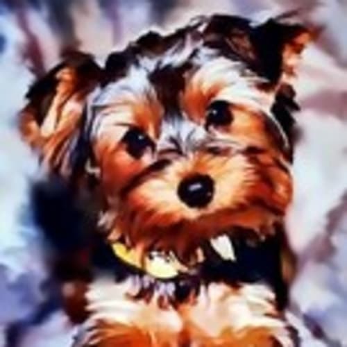 ckimodog