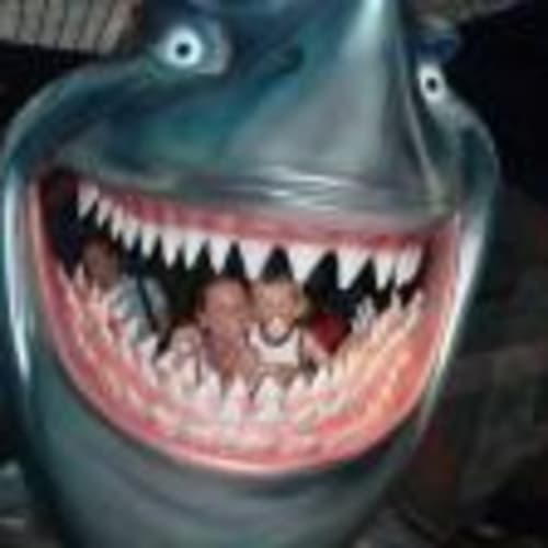 ddragon11
