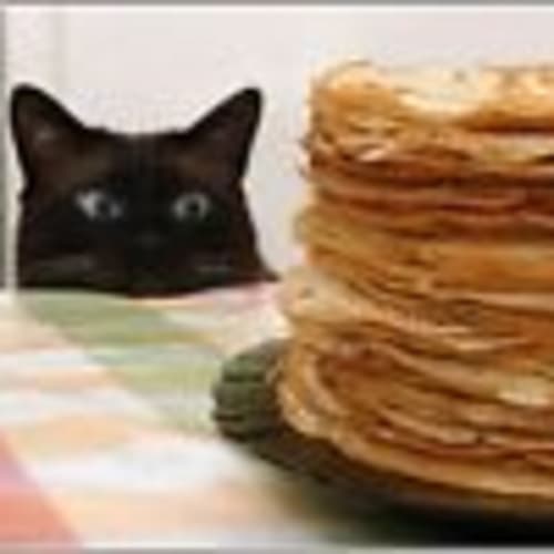 chubbycatcollectibles