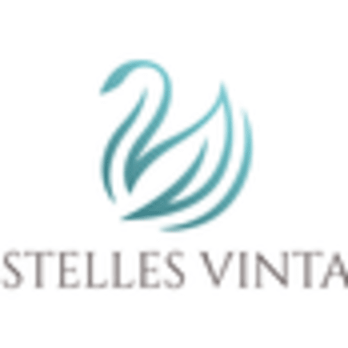 vestellesvintagecostumejewelry