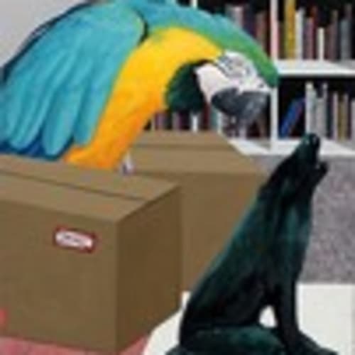 tukieville_trading