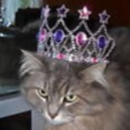 tammy5691