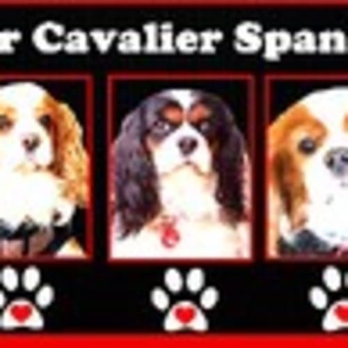123-cavaliers