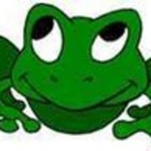 6508.froggy