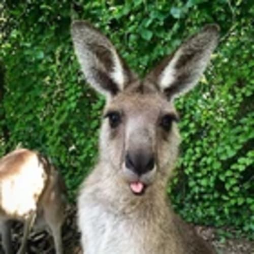 australianpickers