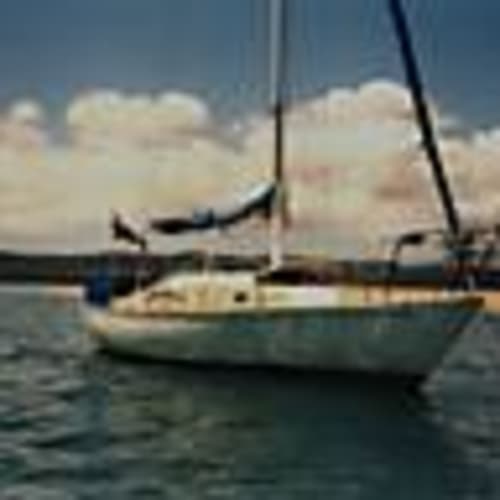 chrisdb8011