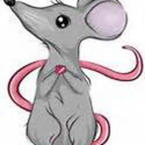 phorum_junkie*