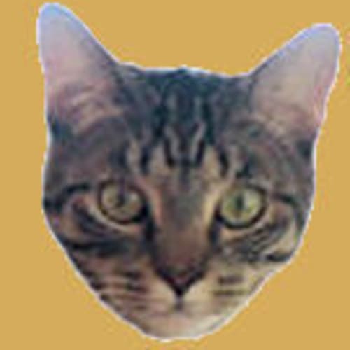 wishbone44