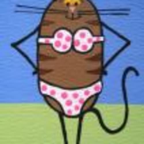 catncaboodle