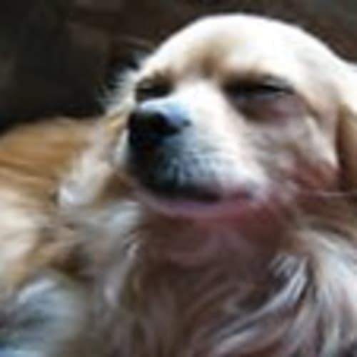 gkbdmv